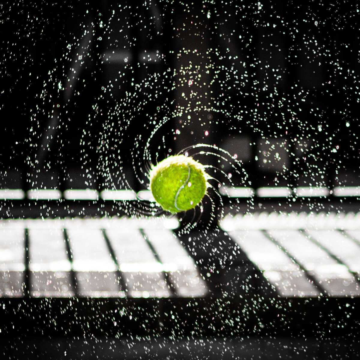 Best Cameras To Choose From In 2019