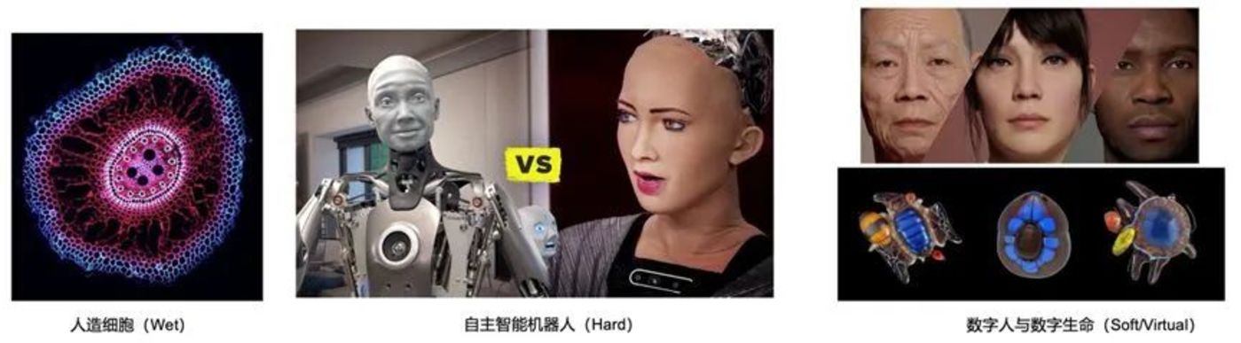 未来的生命形态会是怎样的?