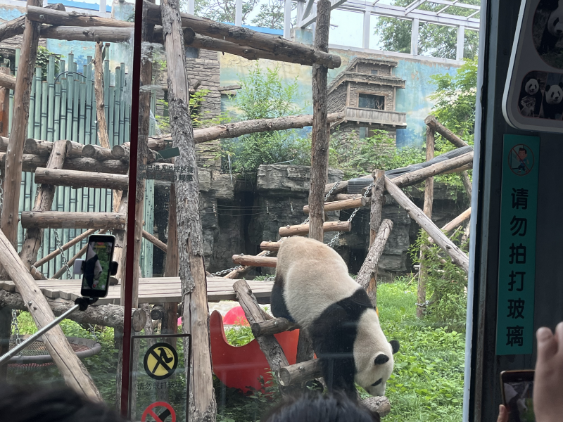 AI生视频:快手可灵 VS 字节即梦AI,谁胜出?