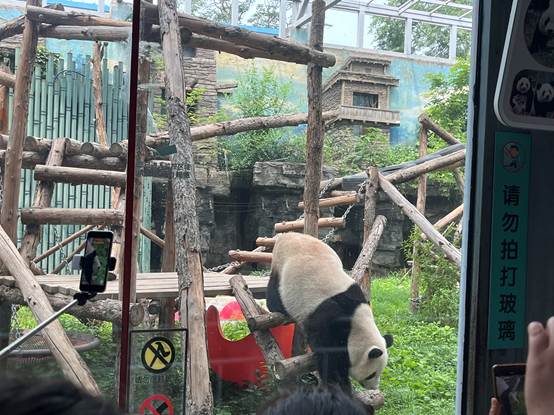 AI生视频：智谱「清影」 VS 生数科技「Vidu」，谁胜出？