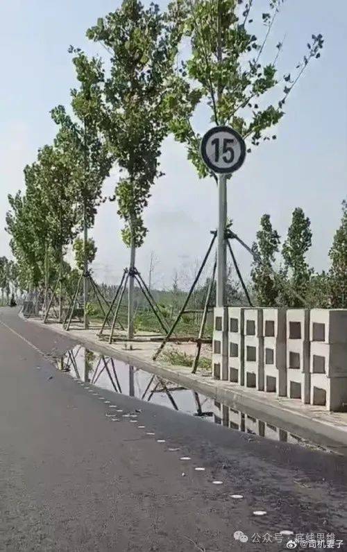 儿童骑行被碾压案，司机被逮捕冤不冤？