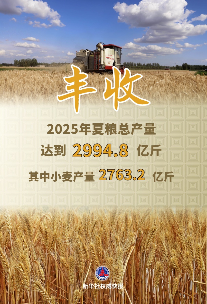 新华鲜报|2994.8亿斤！2025年夏粮「成绩单」出炉