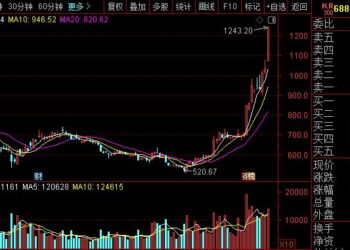 解码两大千元股，寒武纪能产生「茅台效应」吗？