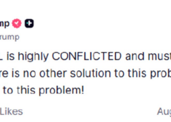 我的总统不喜欢我，英特尔的天塌了