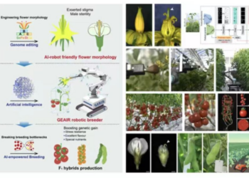 智能育种机器人「吉儿」的亮相，能改变什么？
