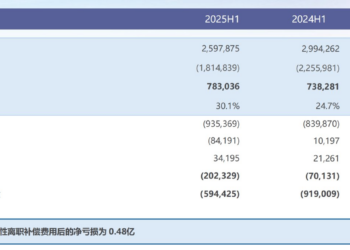 亚信科技上半年收入26亿元，保利润加注AI大模型｜看财报