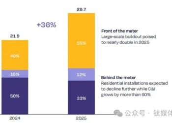 Europe Emerges as Strategic Hub for Chinese New Energy Firms