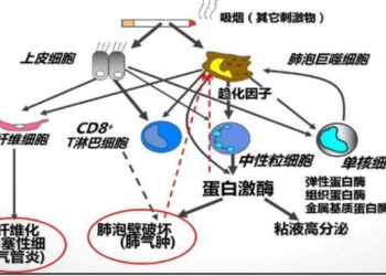 GSK全指着恒瑞了