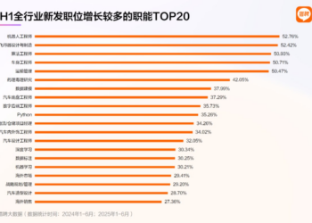 2025上半年人才供需洞察报告