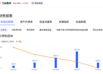 万店时代下的零食量贩店：扩张泡沫全靠加盟商承受？