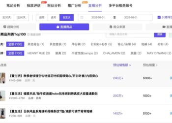 小红书上的董洁,成了都市蓝领的造梦师