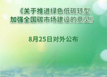 新华社权威快报 | 事关全国碳市场建设，中办、国办重磅文件对外公布