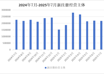 中国经济观测点丨7月新注册经营主体数量小幅下降 资本市场活跃