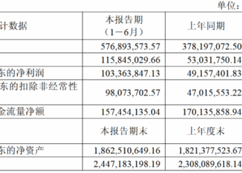 蓝特光学上半年净利同比增110.27% 高精度玻璃晶圆产业基地建设项目未达计划进度