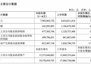 石头科技上半年净利润同比下滑39.55%  拟增资香港子公司5亿美元