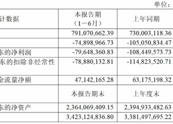 优刻得2025年上半年亏损0.8亿元 境外收入同比增长20.4%