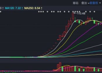 潜伏两年无人问,一飞十倍天下知!牛散何明坤凭啥抓住第一大牛股?