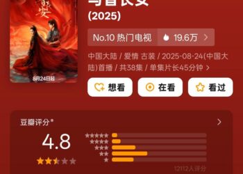 古偶女将军扑街,都怪观众要求太高?