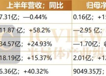 上半年成绩单亮眼，AI电源芯片的增长图谱