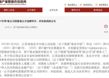 落魄巨头等风来：国美借势，苏宁守业