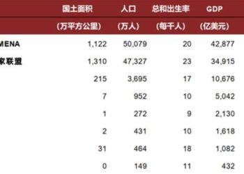 先飞的中国早鸟,正在中东赚翻