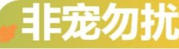 逃避催婚的年轻人们，正忙着帮宠物相亲