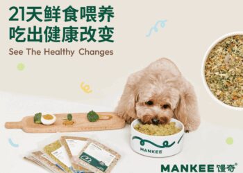 宠物鲜食火了,但谁能解决消费者的选购焦虑