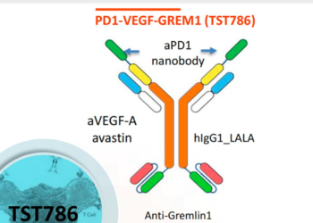 PD-(L)1/VEGF三抗越来越热闹了