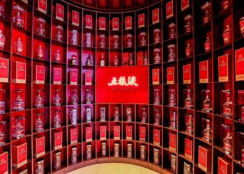 赓续世博叙事，五粮液创新白酒出海新表达