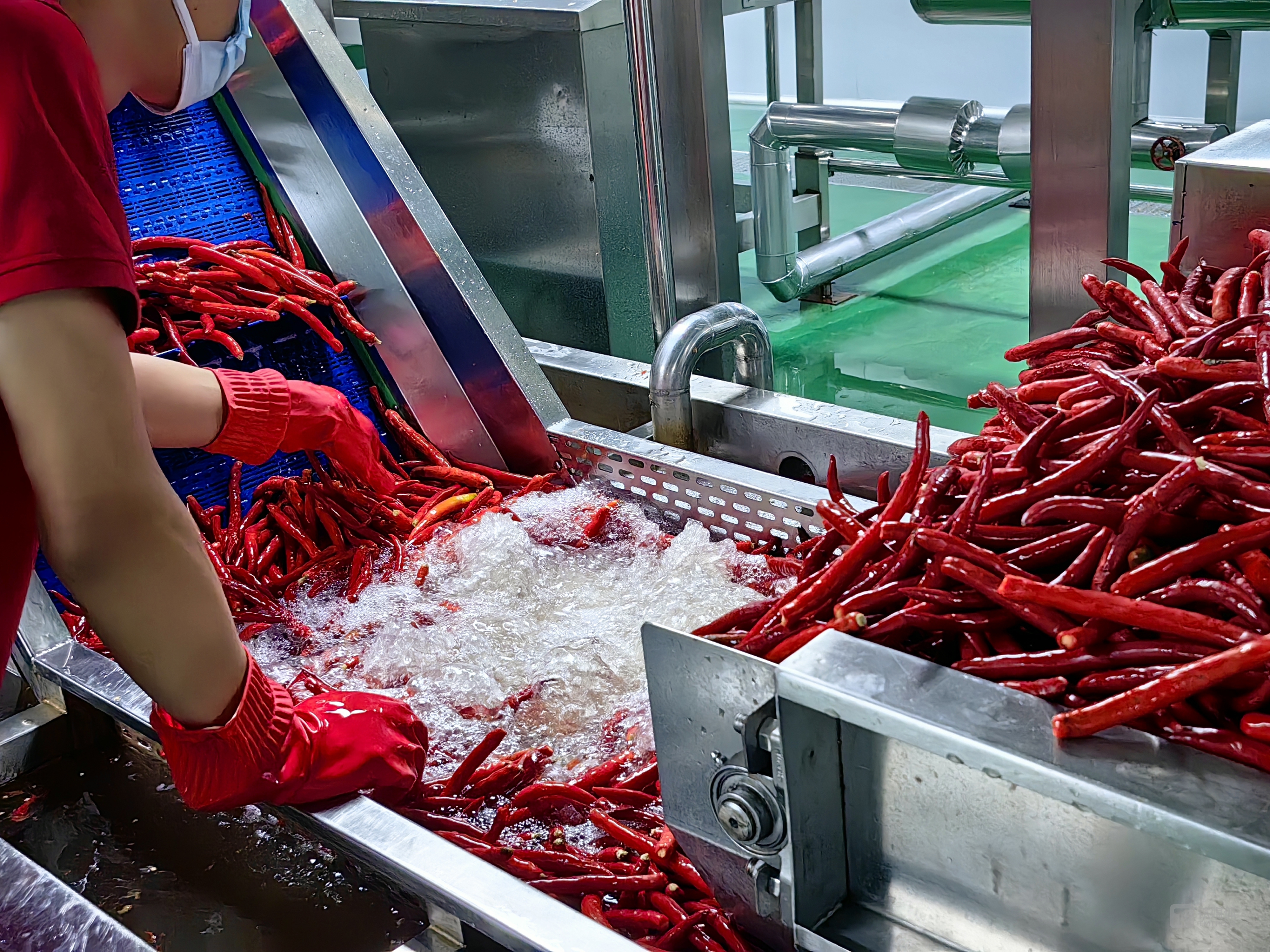 图源:实拍,下同