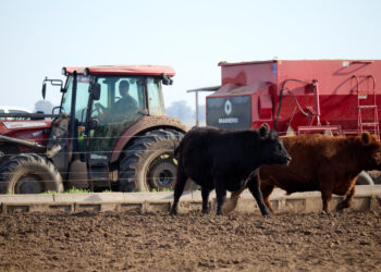 阿根廷恢复谷物等农产品出口预扣税