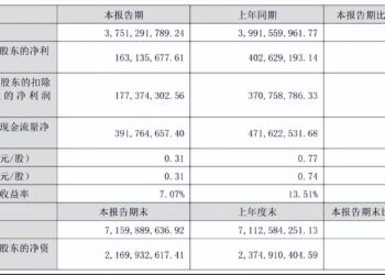 资产负债率达65.88%，「第三个十年」专注投资孵化，百洋医药刀尖起舞？