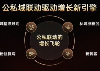 失去辛巴的「第一个」双11，让快手有点急