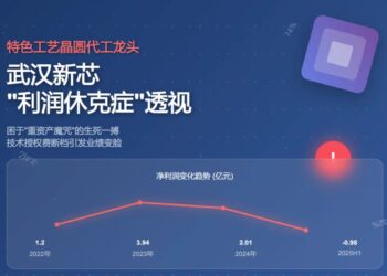 武汉新芯「利润休克症」透视：特晶龙头，困于「重资产魔咒」 |深度