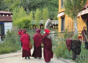 年轻正当多穷游