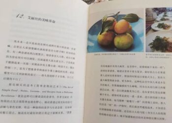 哥大和LSE都在争的「哲学女孩」，去了大厂当AI产品经理