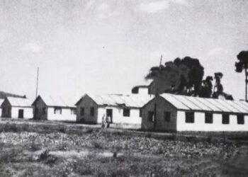 杨振宁的西南联大岁月：大批学生用知识和热血服务抗战