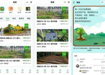 这届年轻人，把周末过到了村里