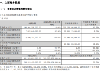 比亚迪前三季度营收5663亿创新高 花旗看好其发展后劲