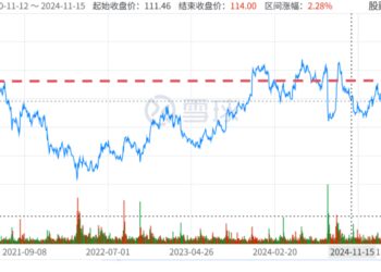 错付拼多多这五年