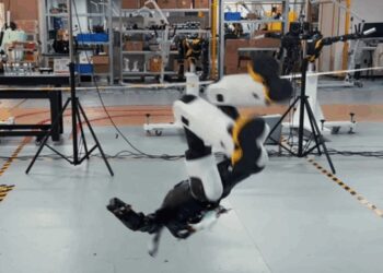 头部玩家开始结盟，消费机器人的「iphone时刻」来了？