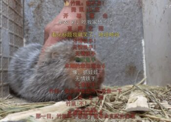 浪漫在田间地头