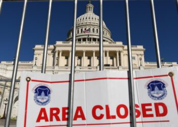 政府「停摆」致空管无薪上岗 美国多地航班延误