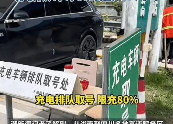 他们使出了九牛二虎之力，「电动爹」仍靠打架抢高速充电桩