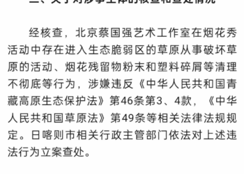 官方通报「蔡国强烟花秀」事件调查核查情况