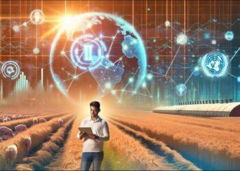 当拼多多登上联合国讲台：中国式农业创新何以成全球样本