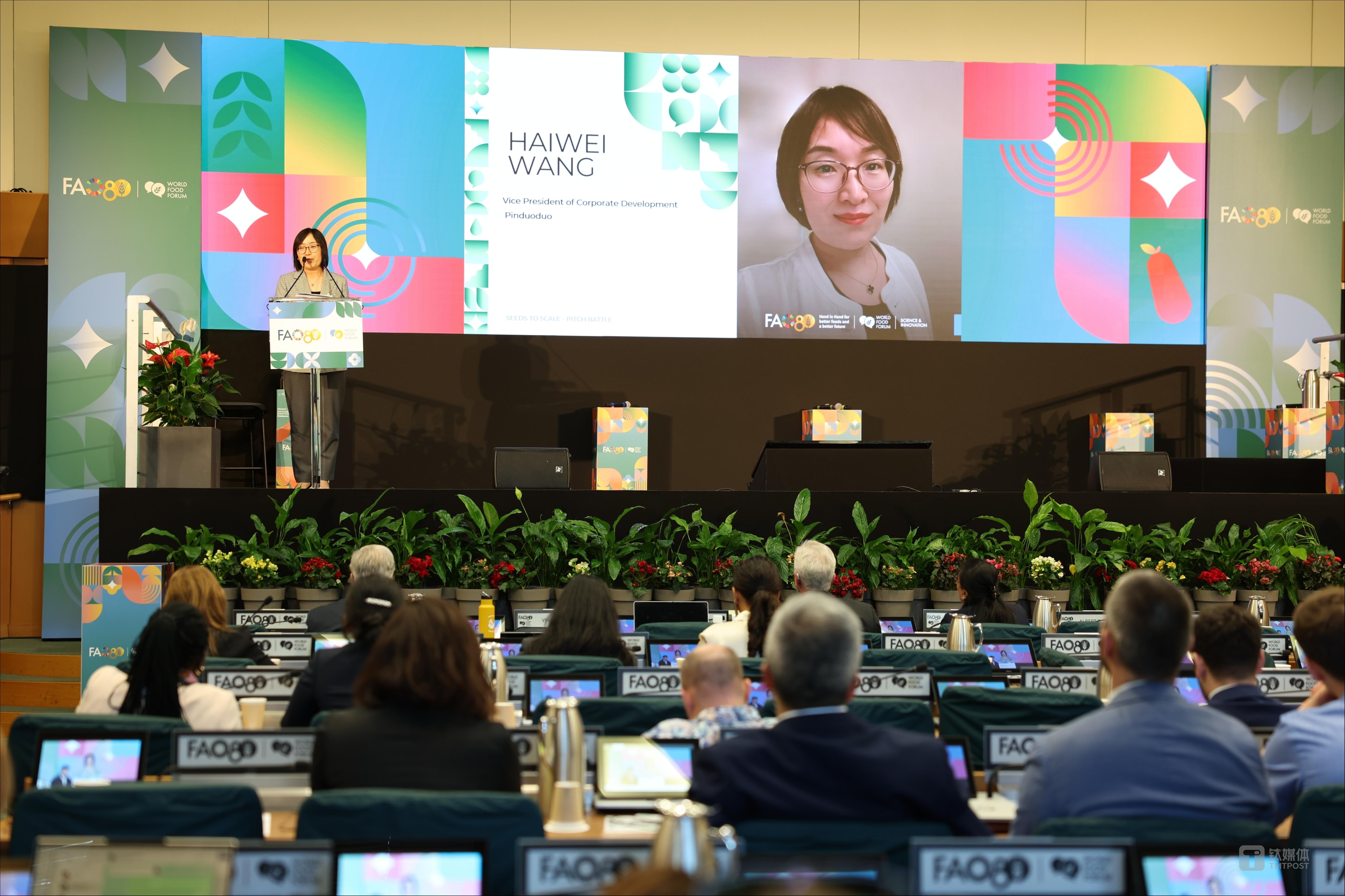 拼多多企业发展副总裁王海薇在科学与创新论坛发表主题演讲