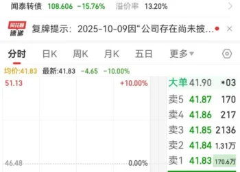闻泰科技遭荷兰「背刺」，半导体枭雄陷资本迷局