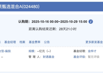 业绩反弹，金梓才借势发新，十年老将有望规模突围？