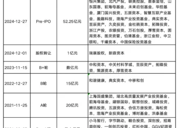 国产「英伟达」们集体冲刺IPO
